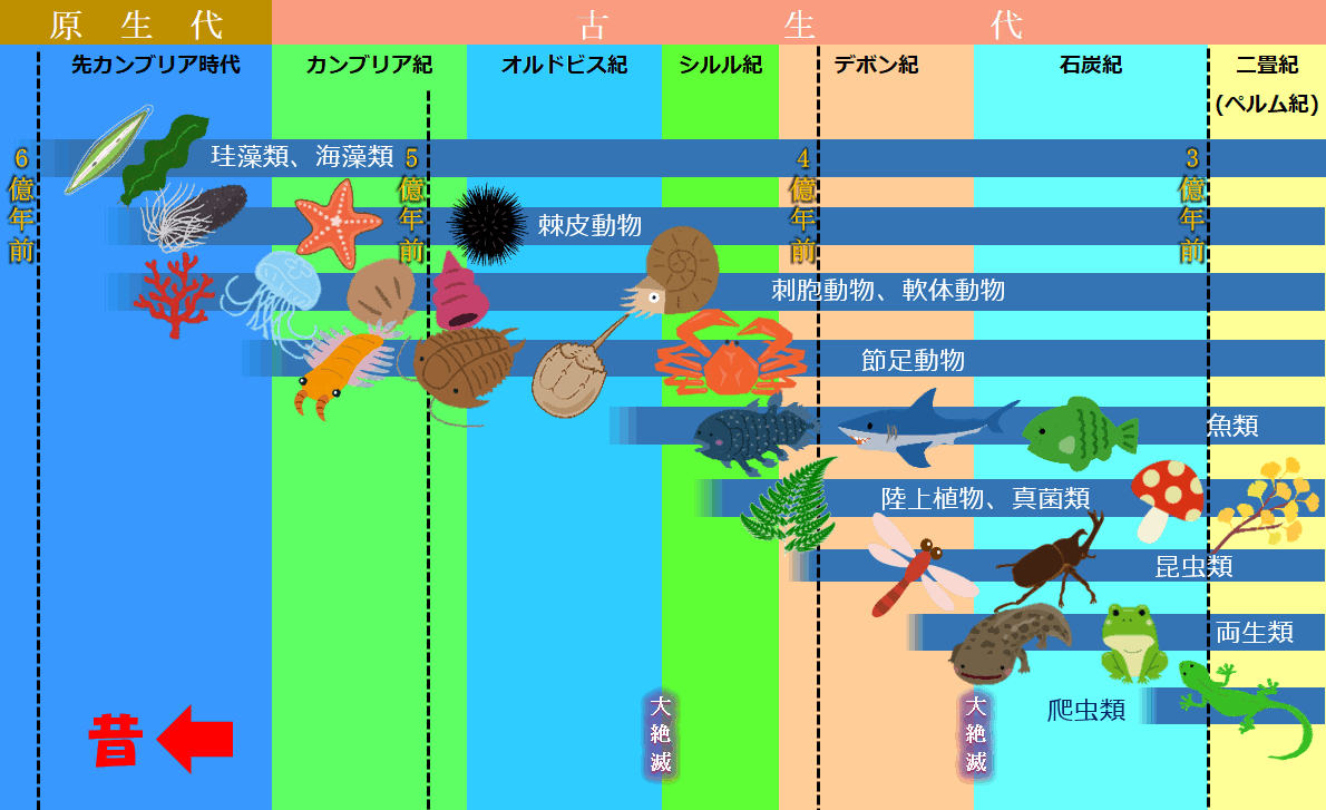 生物の進化(前半)