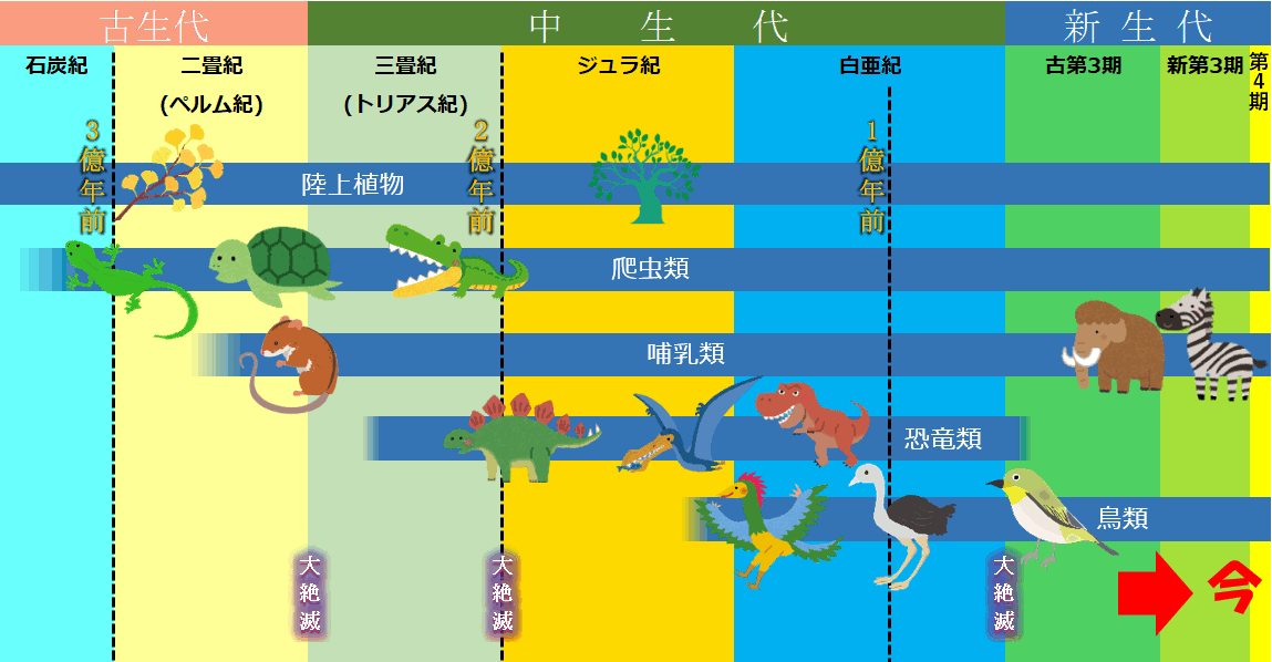 生物の進化(後半)